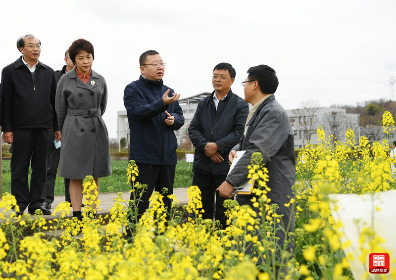 2021年2月26日，元方調(diào)研科技創(chuàng)新工作7  張莉 攝.jpg