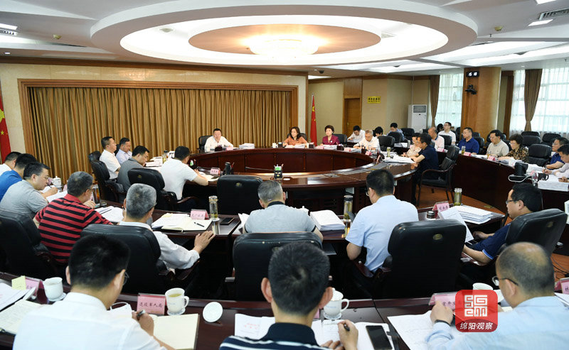 2021年5月11日，市政府第119次常務(wù)會議  張莉 攝.jpg