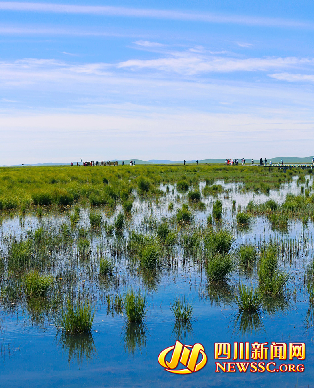 沙洲點(diǎn)點(diǎn)，水鳥翔集，探秘黃河九曲第一灣若爾蓋生態(tài)之變的“金鑰匙” (5)222222222.jpg