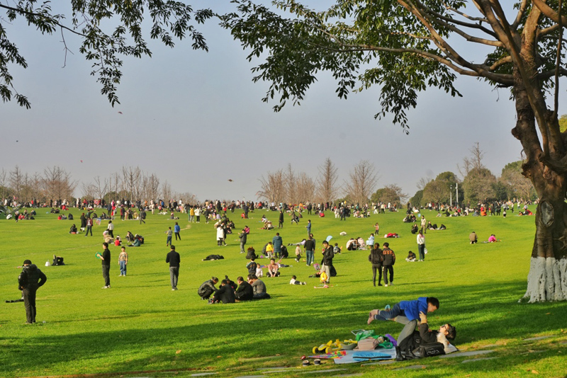 重慶中央公園，市民在草坪上曬太陽、放風箏。重慶日報.jpg