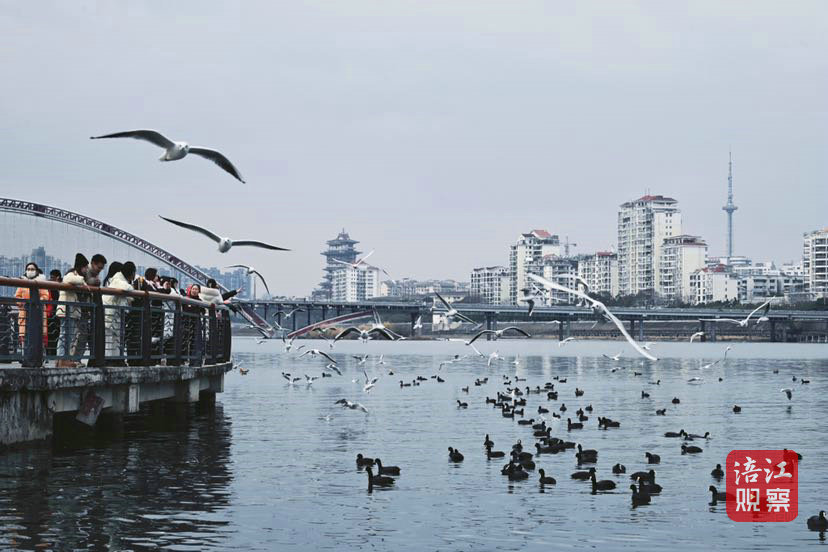 綿陽(yáng)文旅17_1.jpg